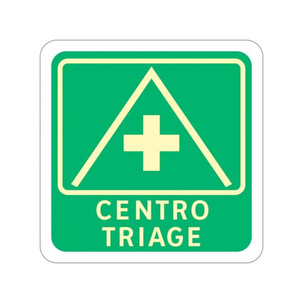 centro-triage centro-triage